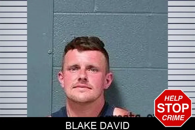 Blake David