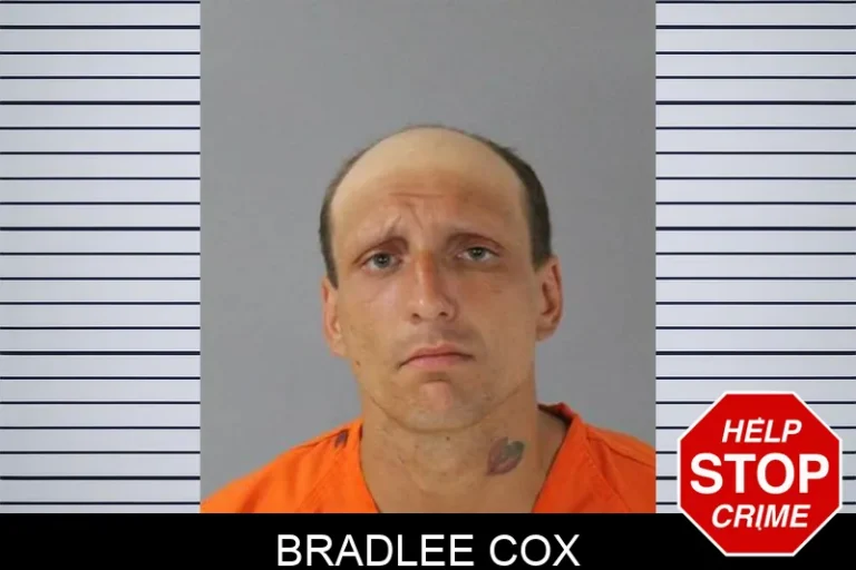 Bradlee Cox