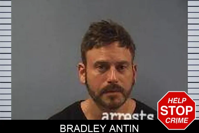 Bradley Antin