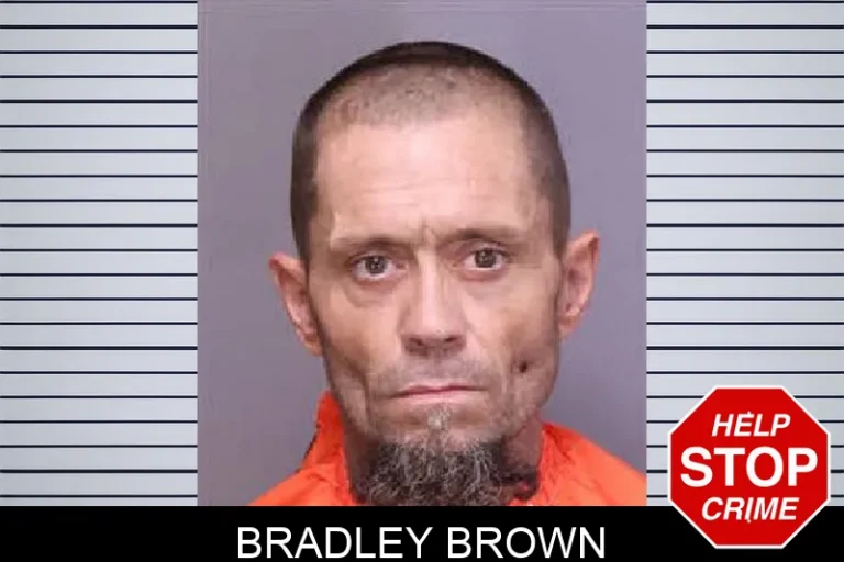 Bradley Brown