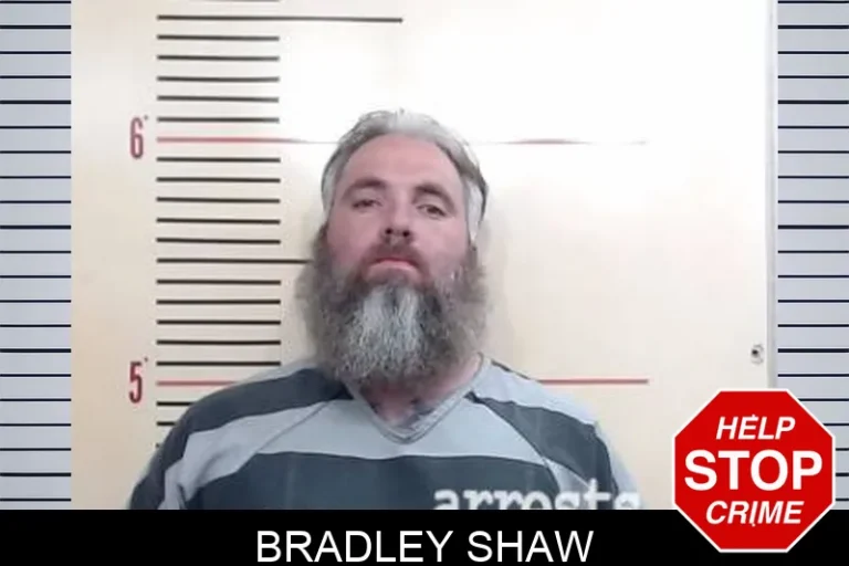 Bradley Shaw