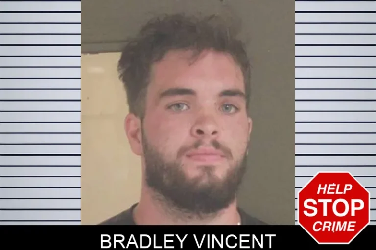 Bradley Vincent