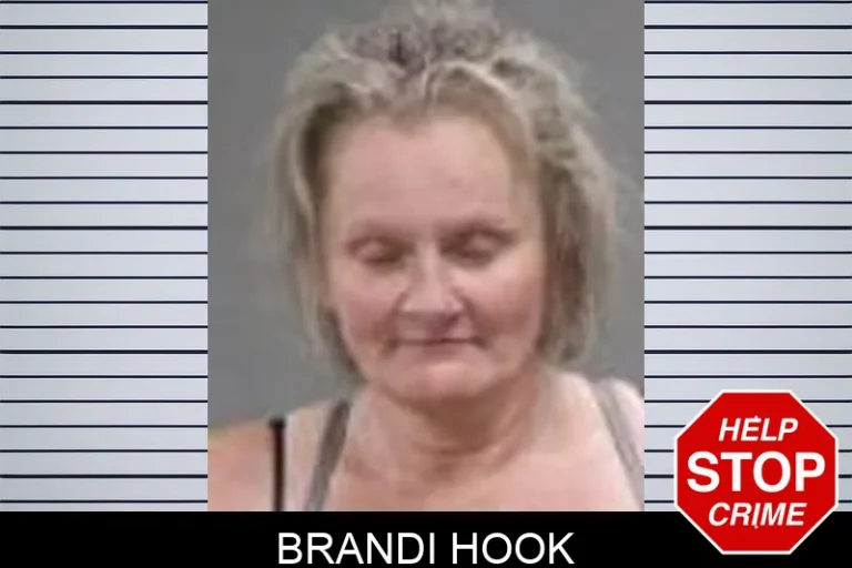 Brandi Hook