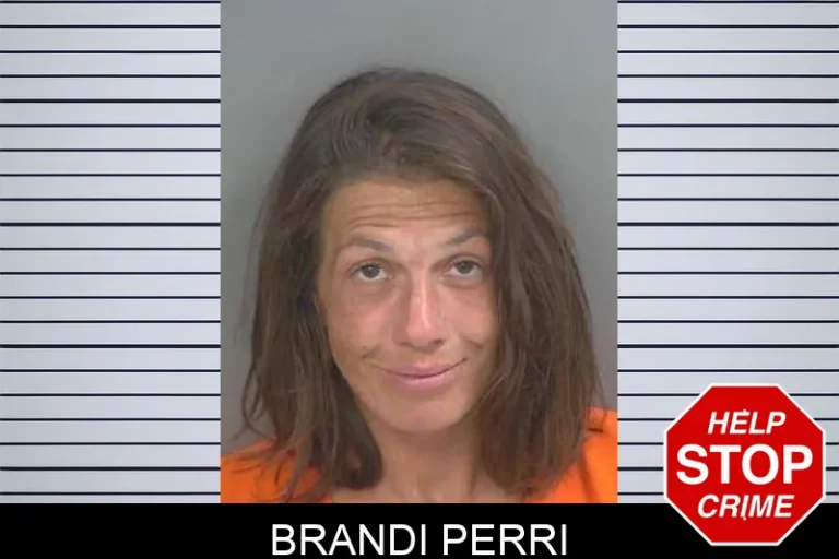 Brandi Perri