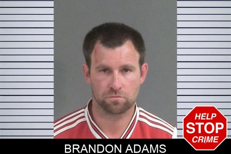 Brandon Adams