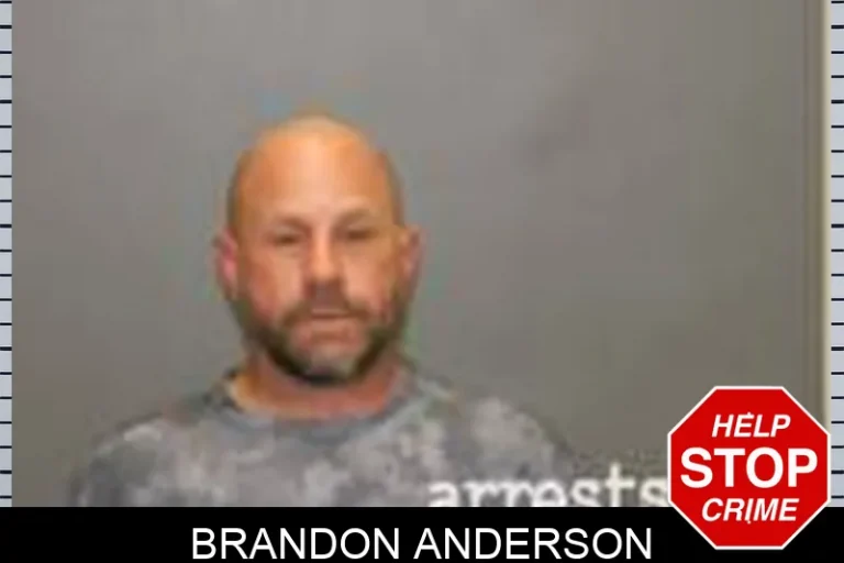 Brandon Anderson