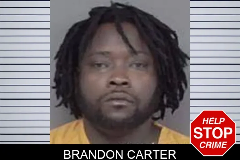 Brandon Carter