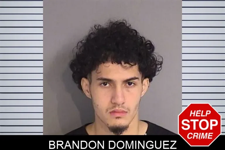 Brandon Dominguez