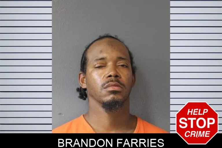 Brandon Farries