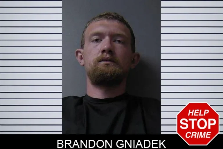 Brandon Gniadek