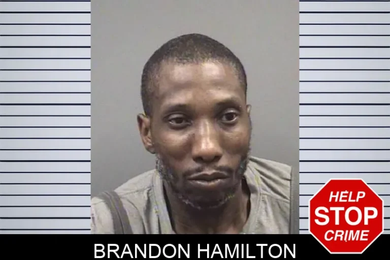 Brandon Hamilton