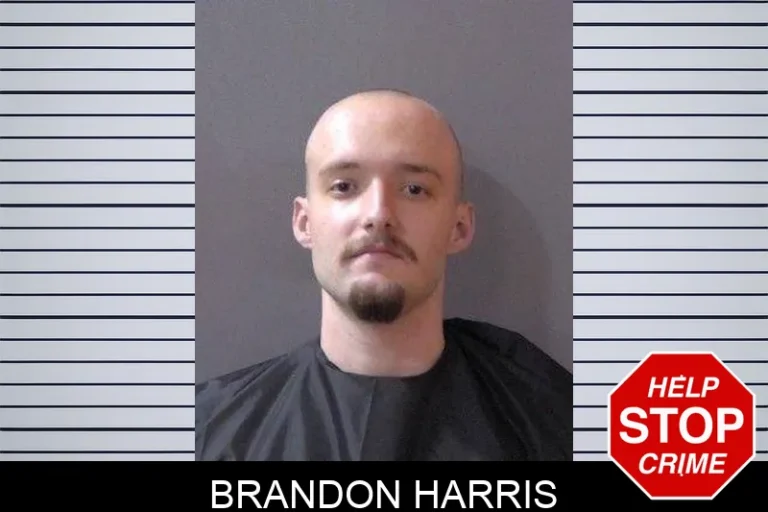 Brandon Harris