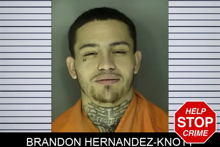 Brandon Hernandez-Knott