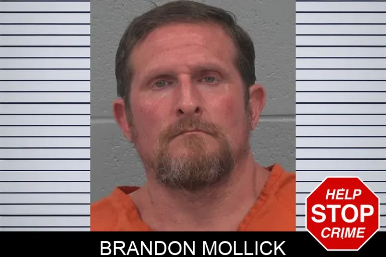 Brandon Mollick