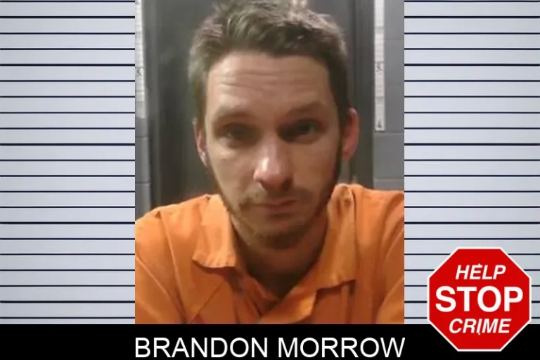 Brandon Morrow
