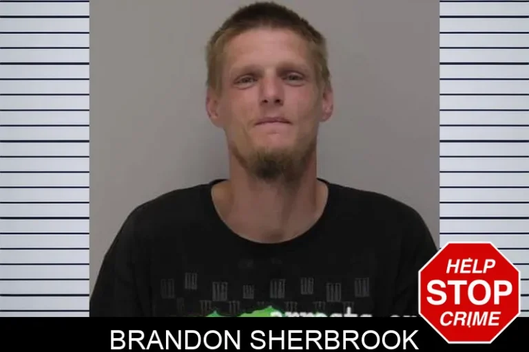 Brandon Sherbrook