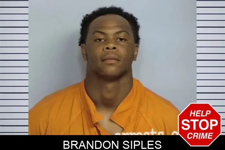 Brandon Siples