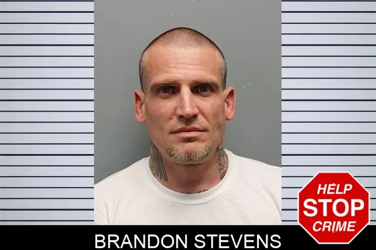 Brandon Stevens
