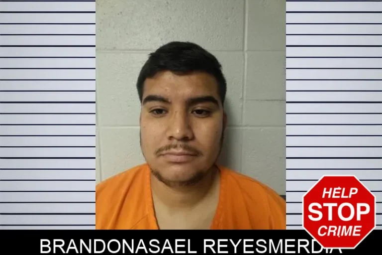 BrandonAsael ReyesMerdia