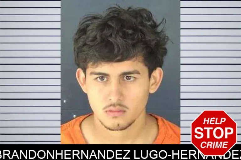 BrandonHernandez Lugo-Hernandez
