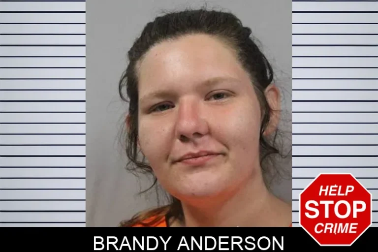 Brandy Anderson