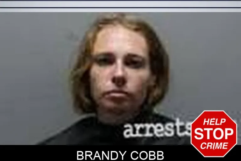 Brandy Cobb
