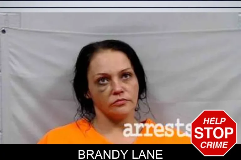 Brandy Lane