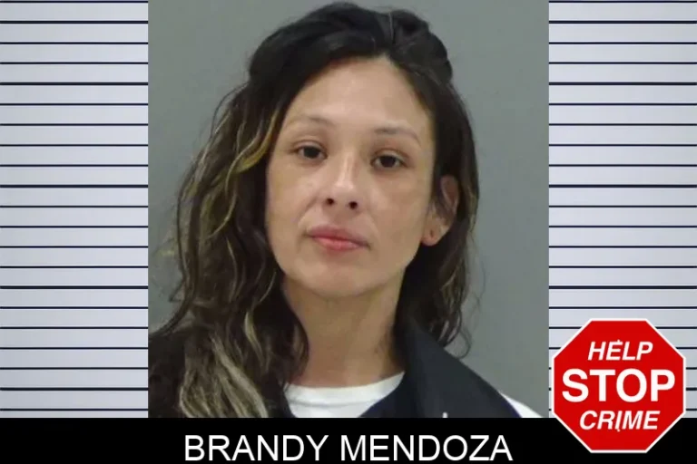 Brandy Mendoza