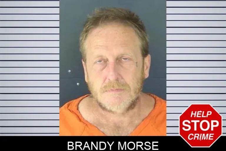 Brandy Morse