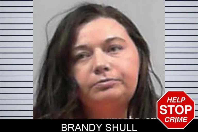 Brandy Shull