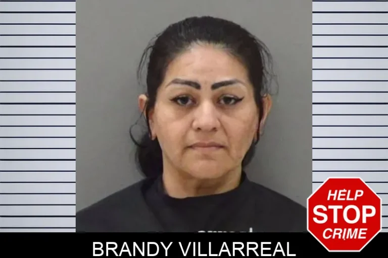 Brandy Villarreal