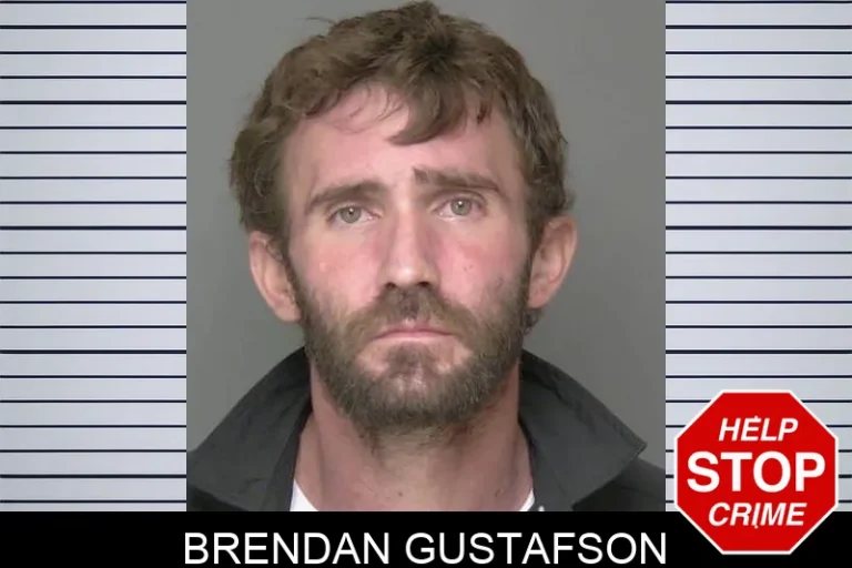 Brendan Gustafson