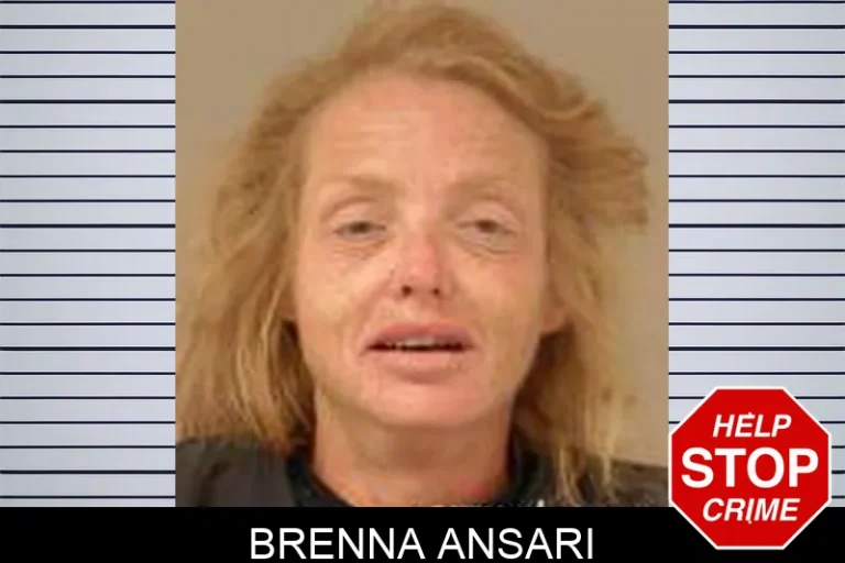 Brenna Ansari