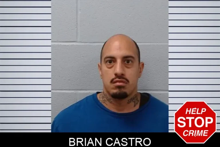 Brian Castro
