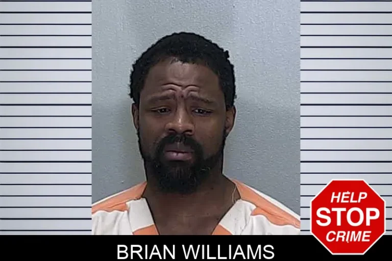 Brian Williams