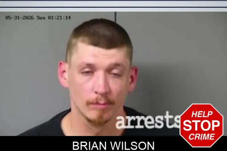 Brian Wilson