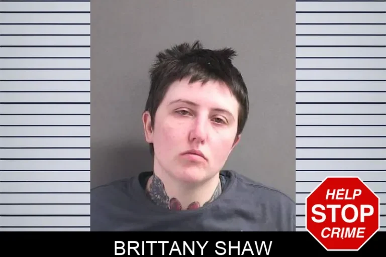 Brittany Shaw