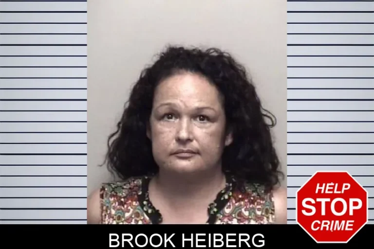 Brook Heiberg