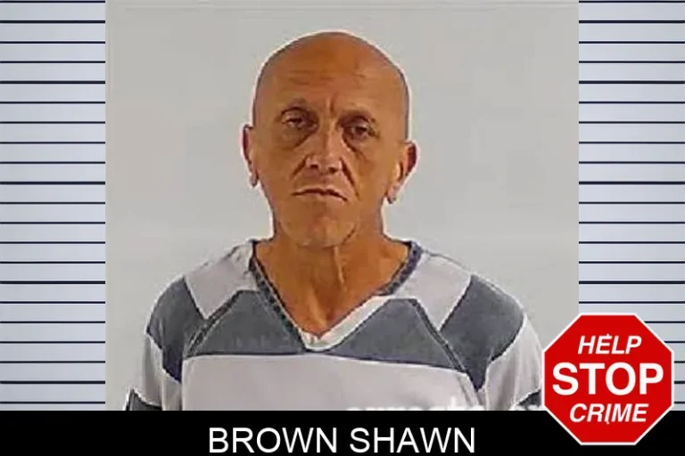 Brown Shawn