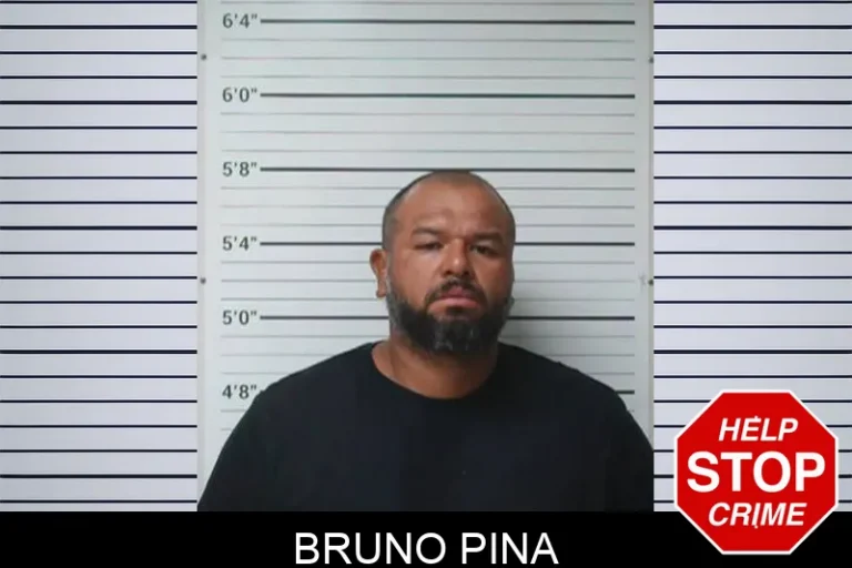 Bruno Pina