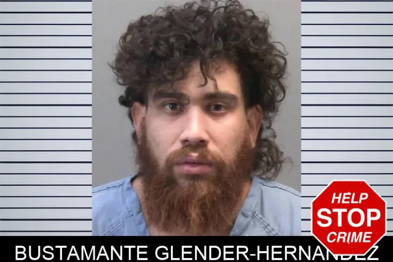Bustamante Glender-Hernandez