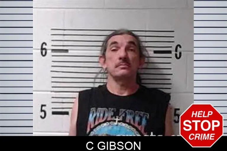 C Gibson
