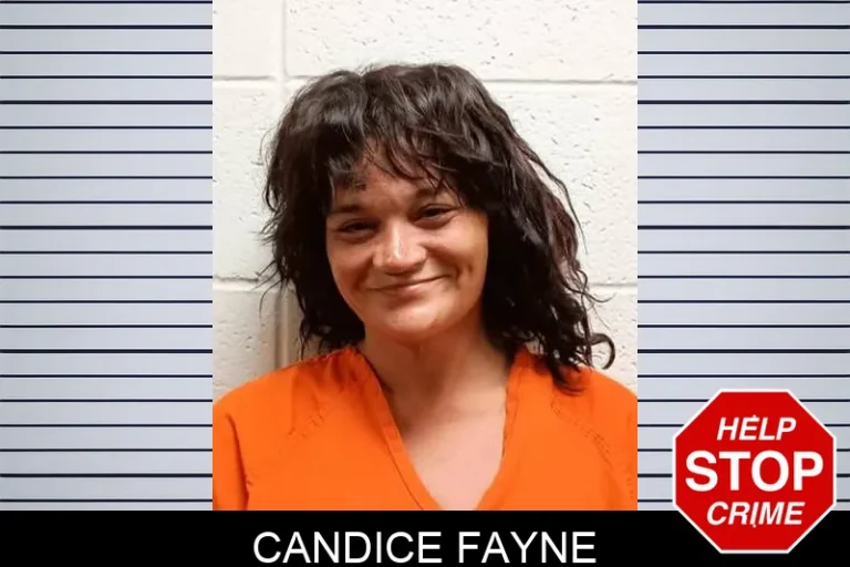 Candice Fayne