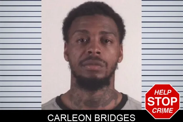 Carleon Bridges