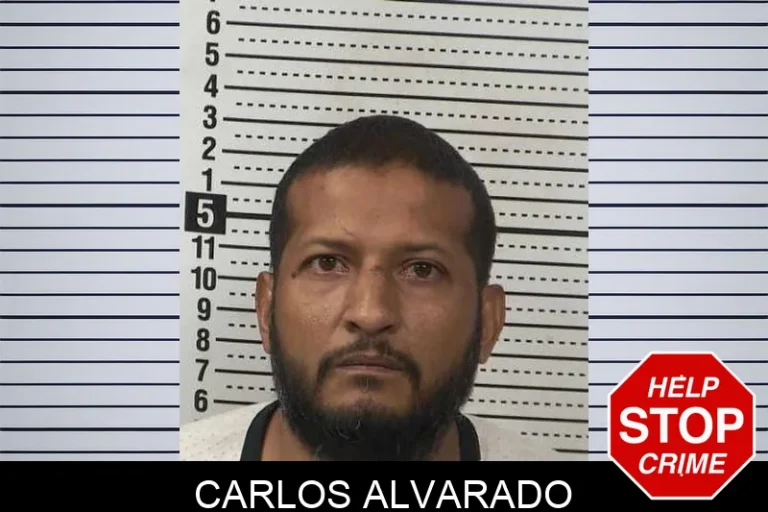 Carlos Alvarado