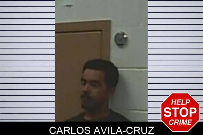 Carlos Avila-Cruz