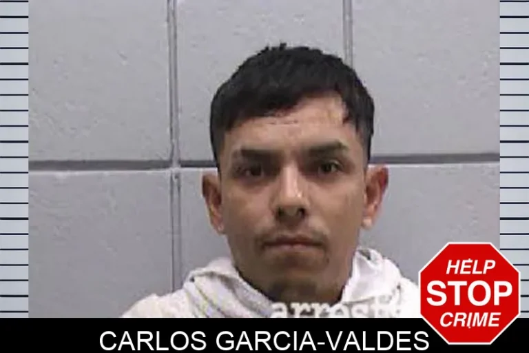 Carlos Garcia-Valdes