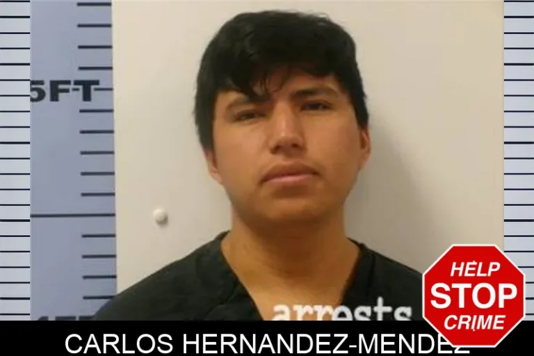 Carlos Hernandez-Mendez