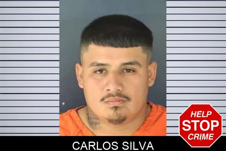 Carlos Silva