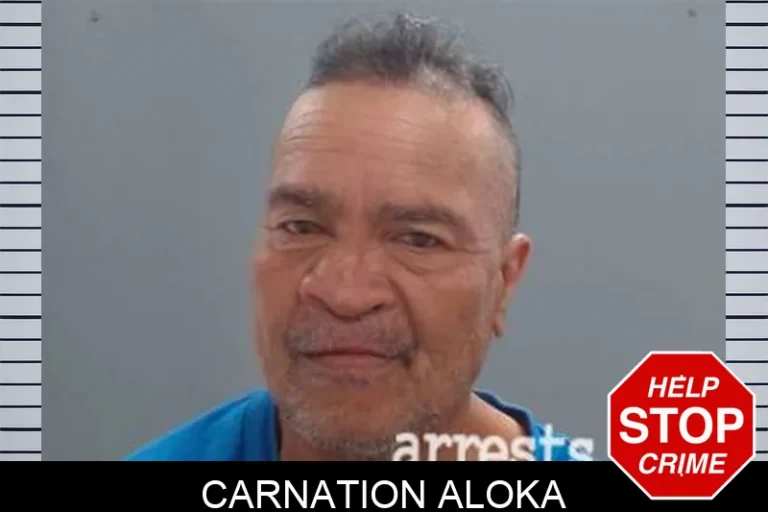 Carnation Aloka
